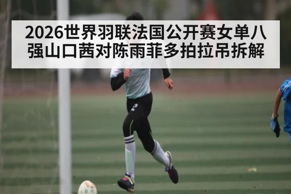 2026世界羽联法国公开赛女单八强山口茜对陈雨菲多拍拉吊拆解